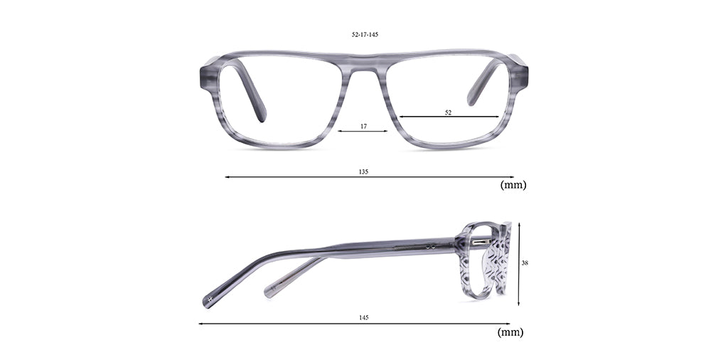 Grey_Tortise_With_Grey