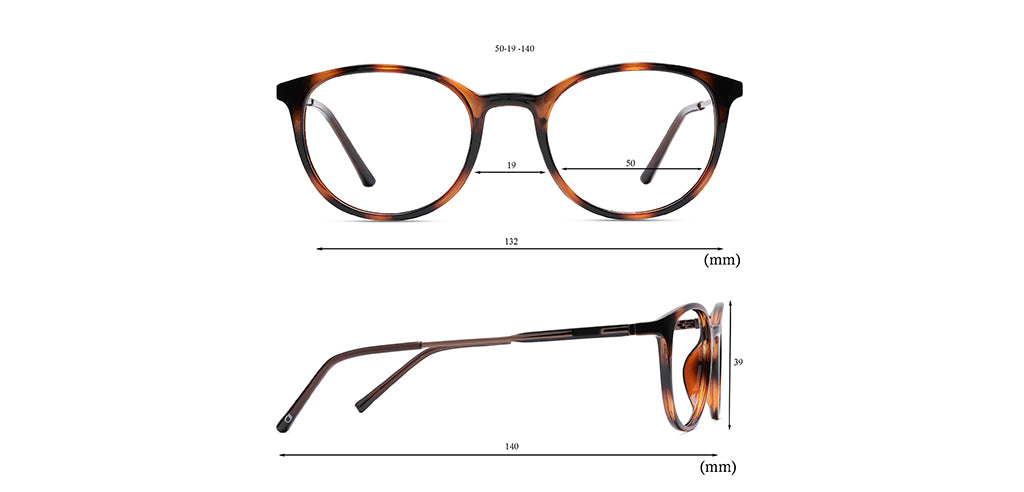 Brown_Tortoise_With_Brown