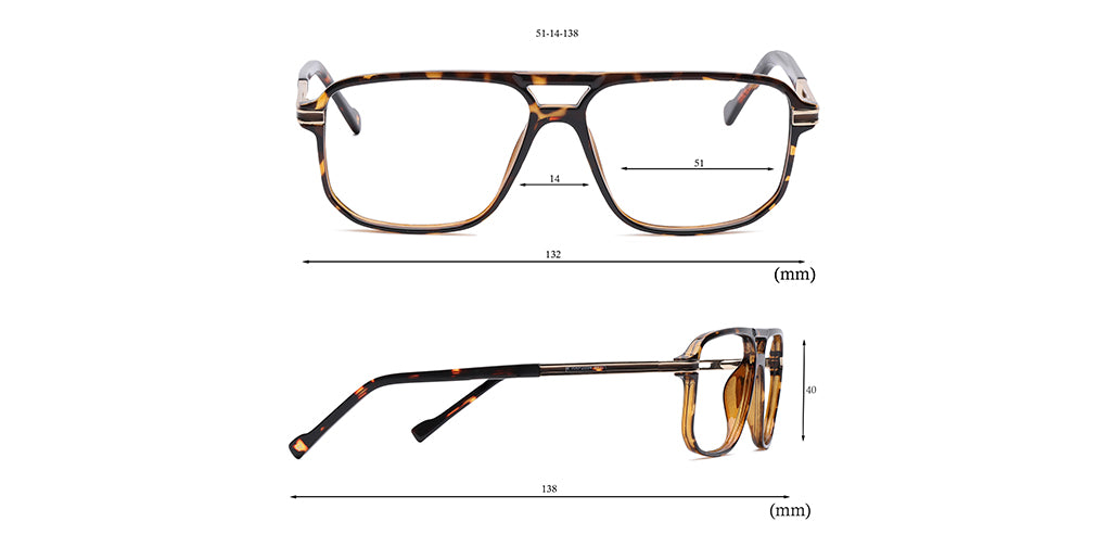 Brown_Tortise_With_Gold