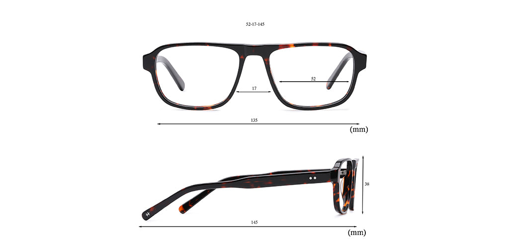 Brown_Tortise_With_Tortise