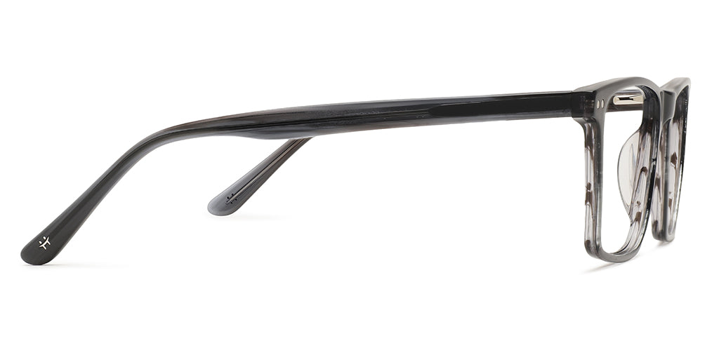 Grey_tortoise_with_grey