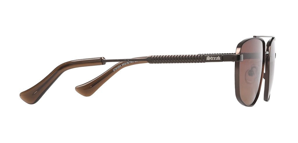 Brown_with_Brown_Lens