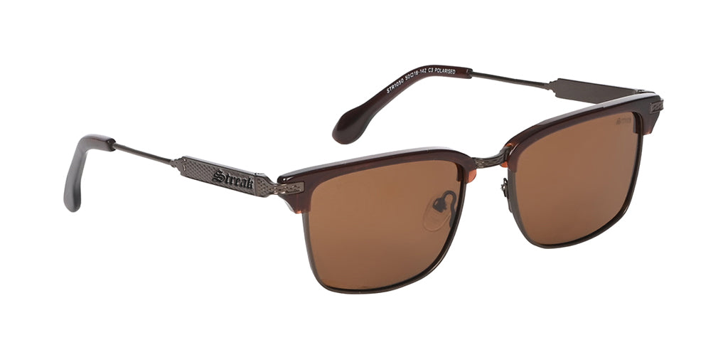 Brown_with_Brown_Lens