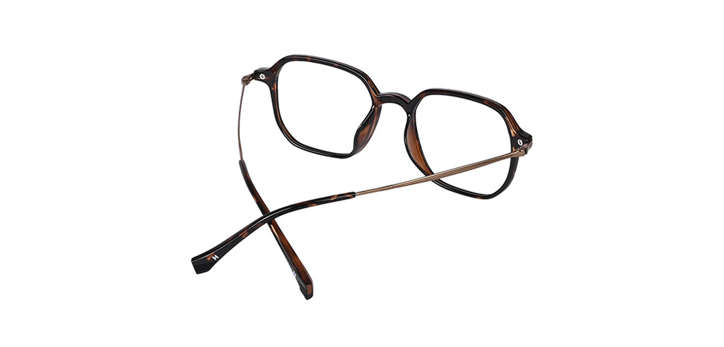 Brown_Demi_with_Brown