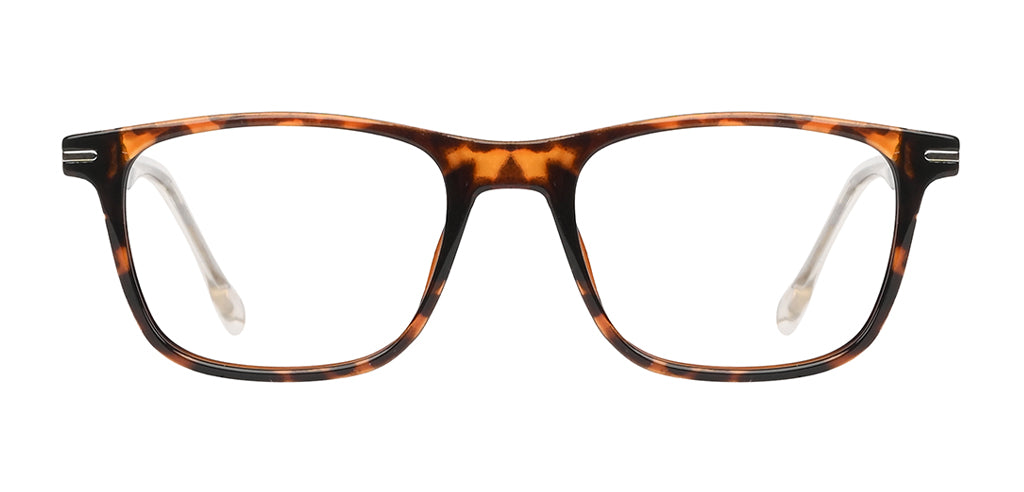 Brown_Demi_with_Black