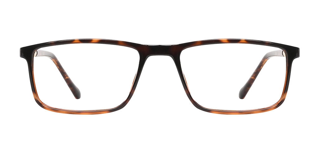 Brown_Demi_with_Gold