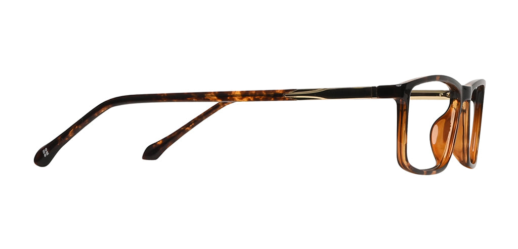 Brown_Demi_with_Gold