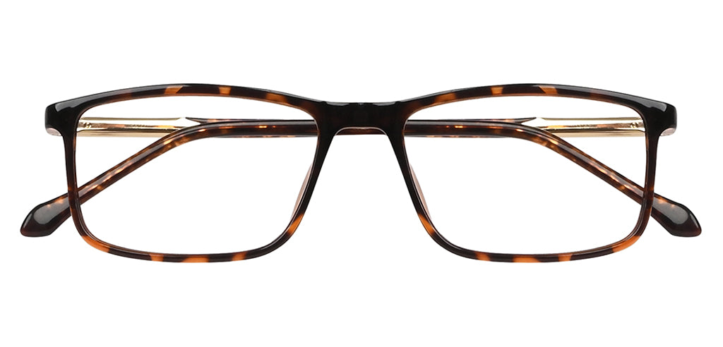 Brown_Demi_with_Gold