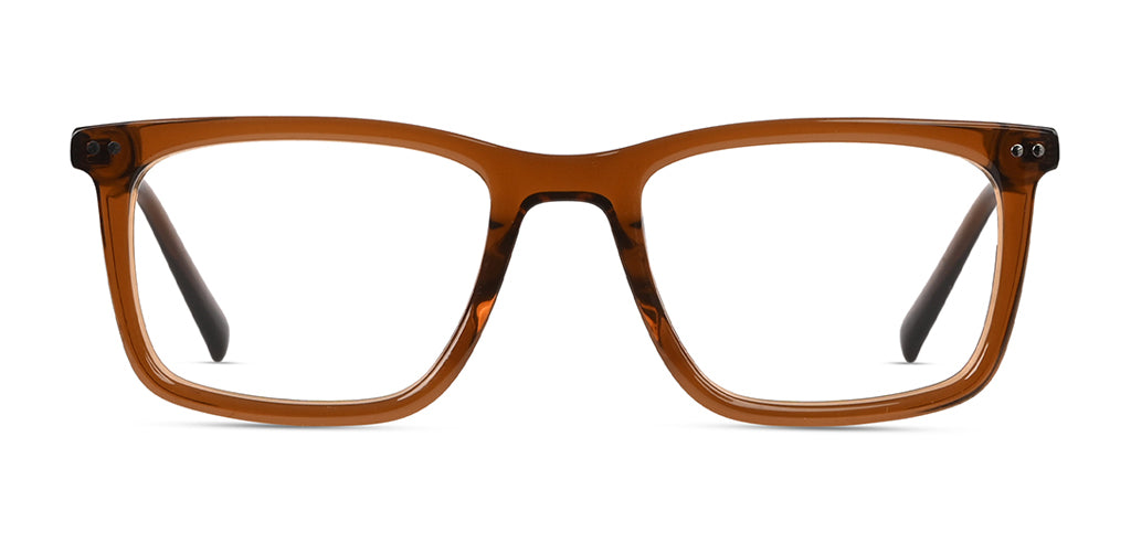 Brown_Transparent_with_Brown