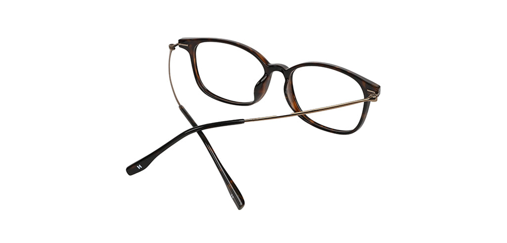 Brown_Demi_with_Brown