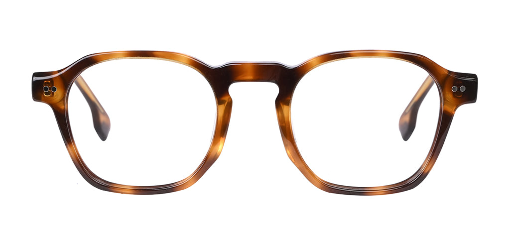 Brown_Demi_with_Demi