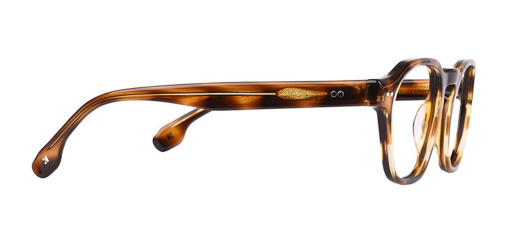 Brown_Demi_with_Demi