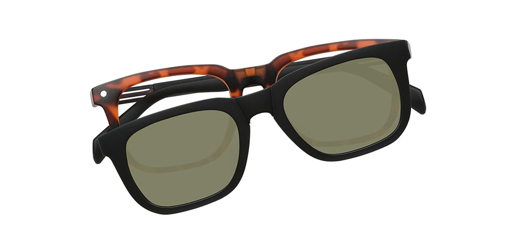 Brown_Demi_with_Black