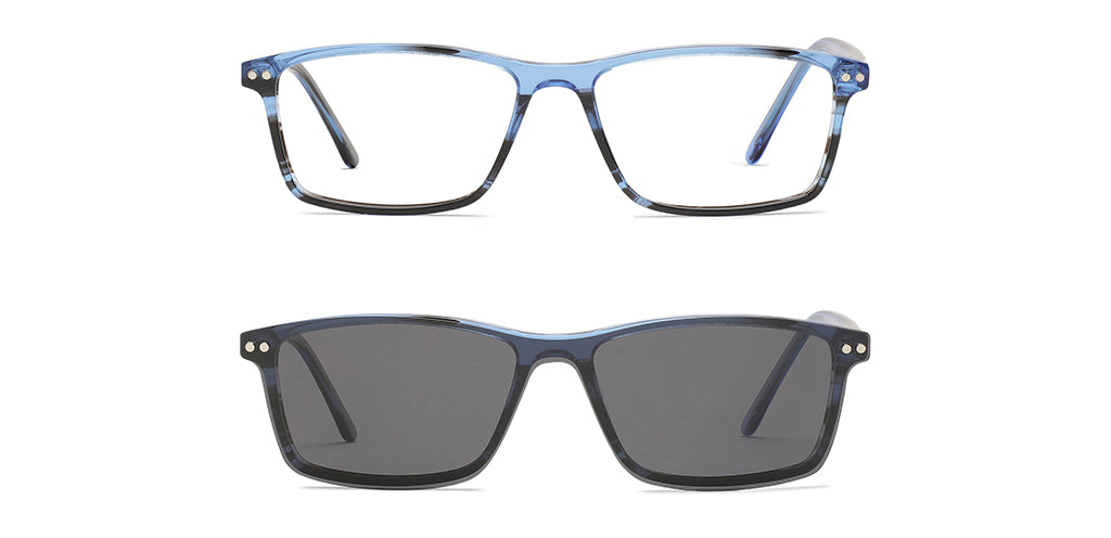 Blue_tortoise_with_blue