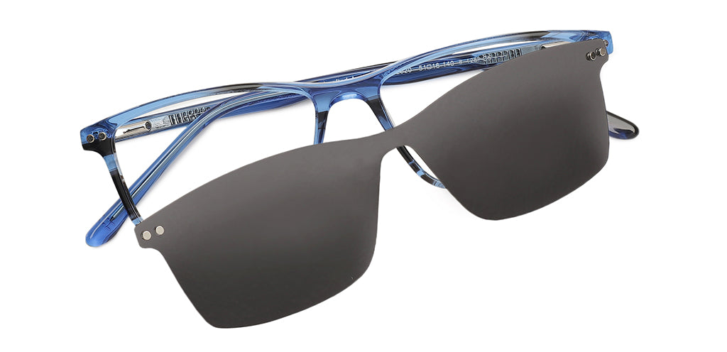 Blue_tortoise_with_blue