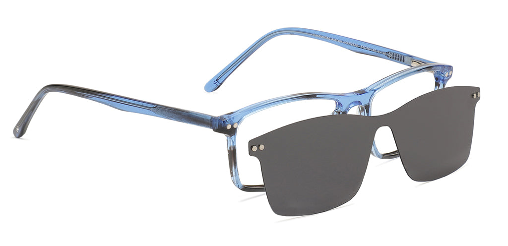 Blue_tortoise_with_blue