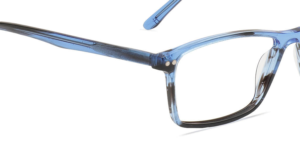 Blue_tortoise_with_blue