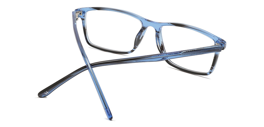 Blue_tortoise_with_blue