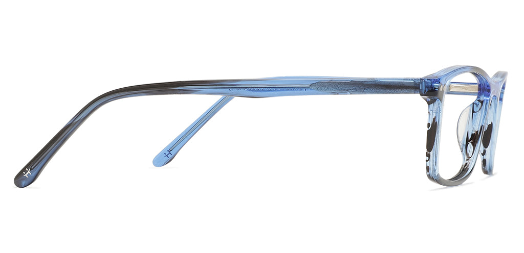 Blue_tortoise_with_blue