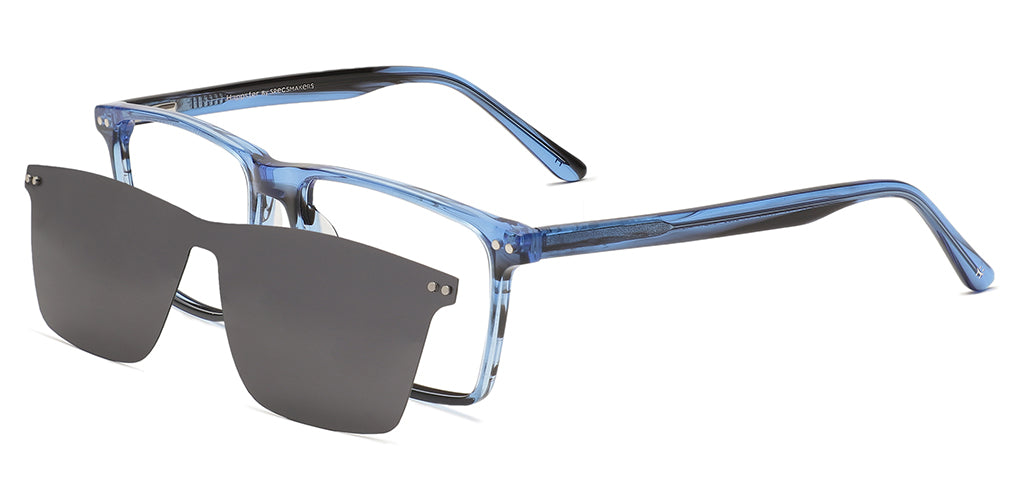 blue_tortoise_with_blue