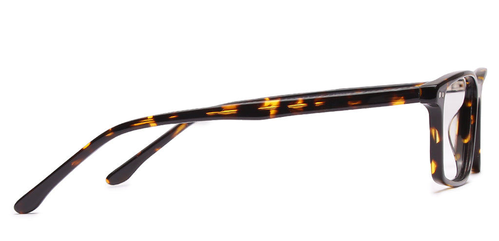 Glossy_Brown_With_Tortoise