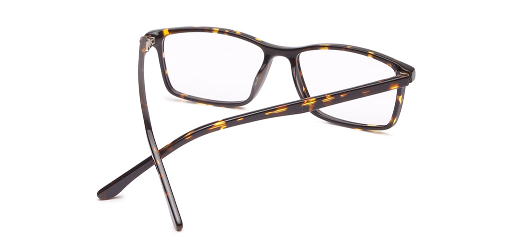 Glossy_Brown_With_Tortoise