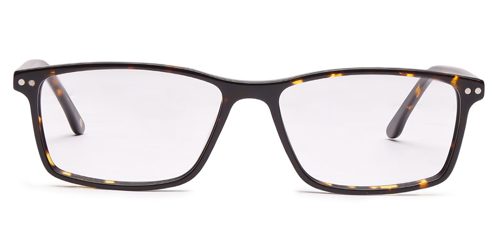 Glossy_Brown_With_Tortoise