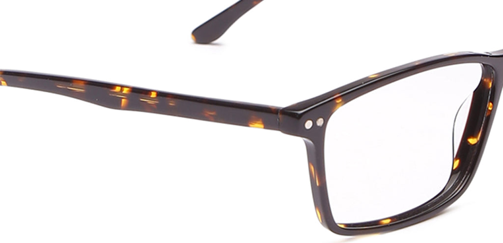 Glossy_Brown_With_Tortoise