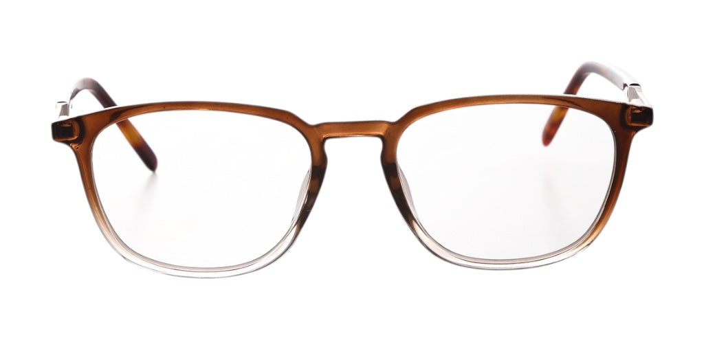 Brown_Gradal_with_Brown
