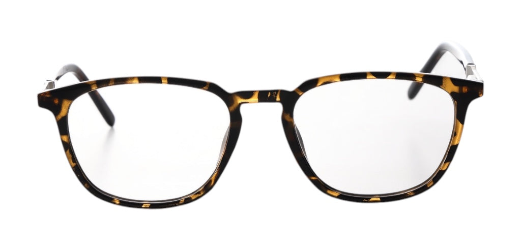 Brown_Demi_with_Yellow