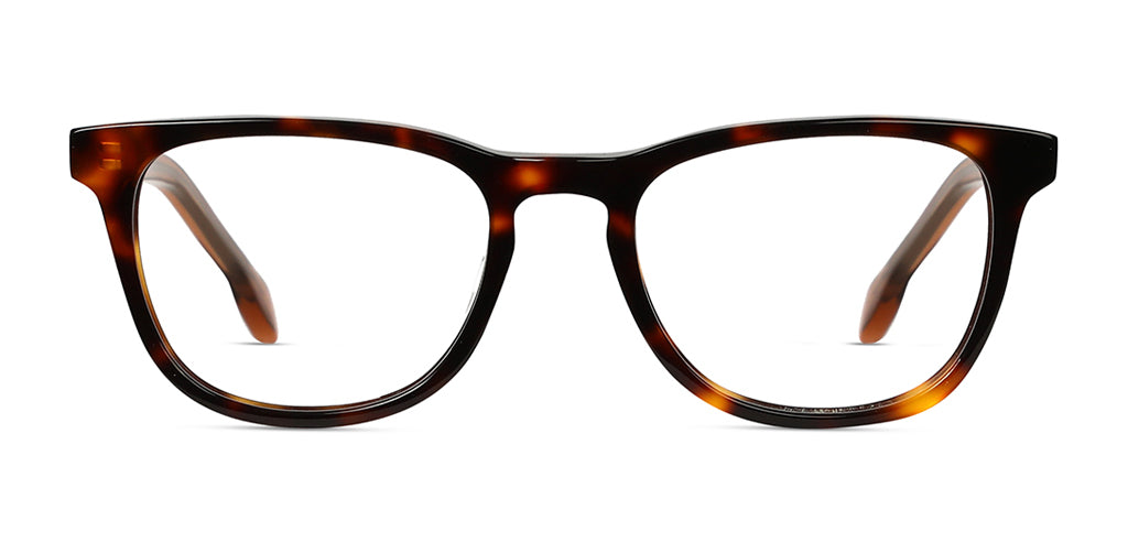 Brown_Demi_with_Grey