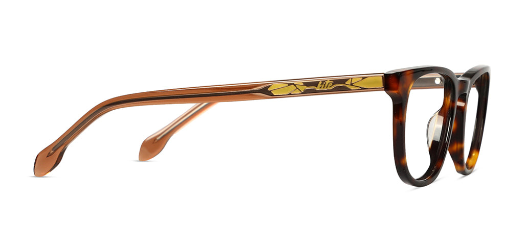 Brown_Demi_with_Grey