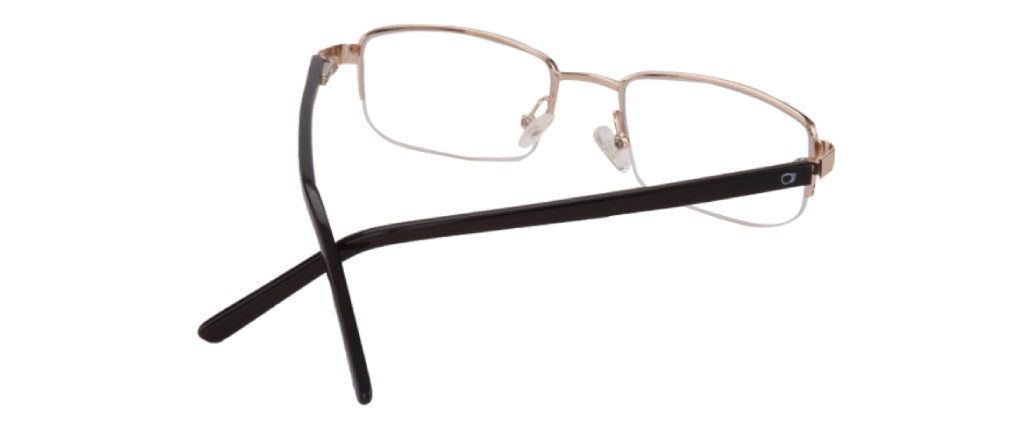 Glossy_Lightgold_with_Brown