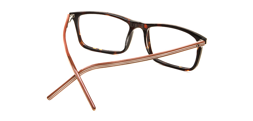 Tortoise_Brown_with_Brown