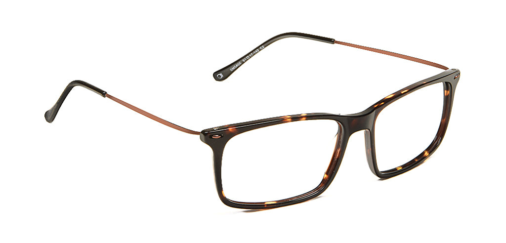 Tortoise_Brown_with_Brown