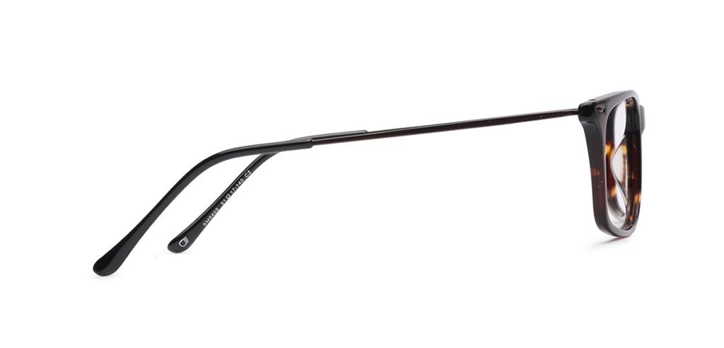 Tortoise_Brown_with_Brown