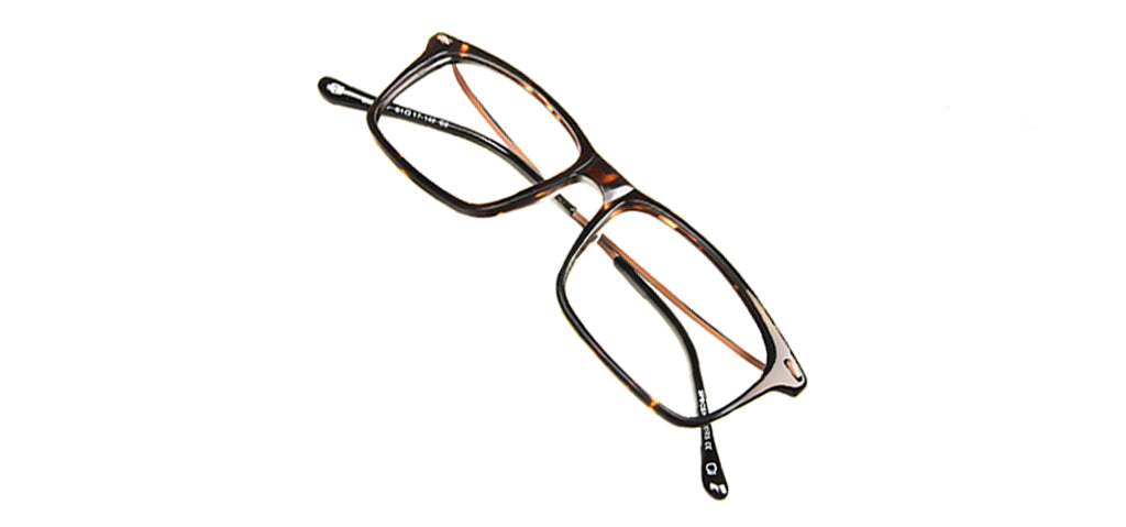 Tortoise_Brown_with_Brown