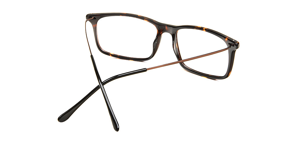 Tortoise_Brown_with_Brown