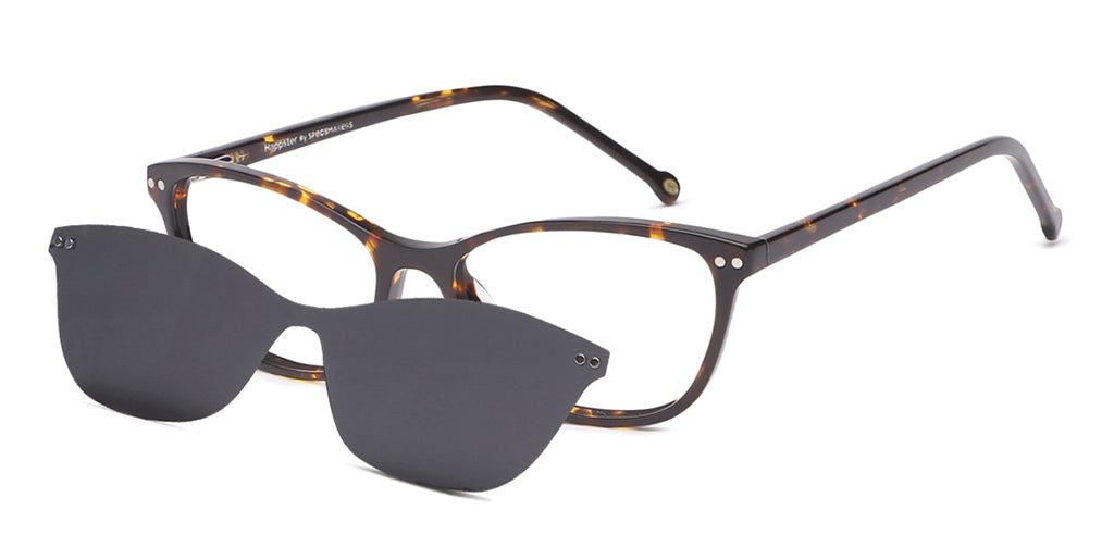 Glossy_Brown_With_Tortoise