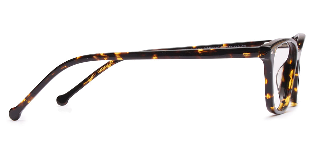 Glossy_Brown_With_Tortoise