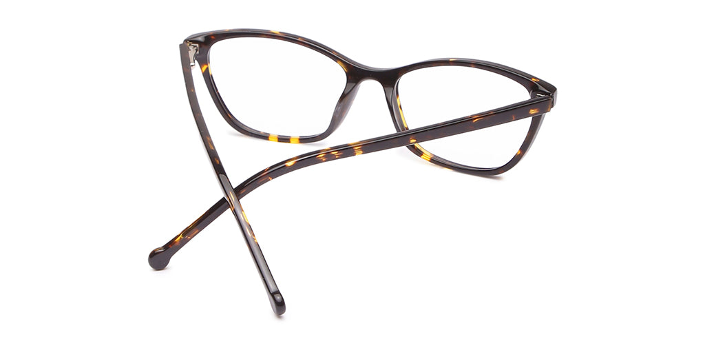 Glossy_Brown_With_Tortoise