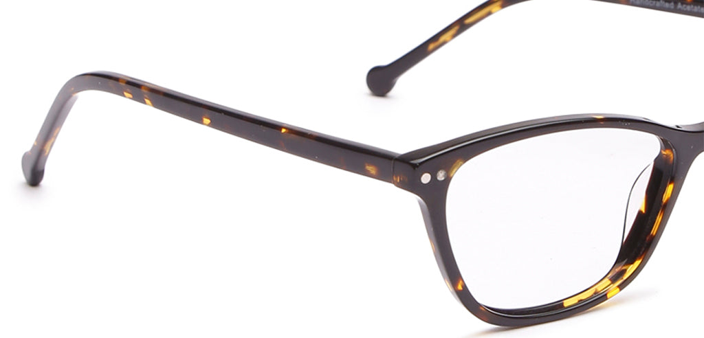 Glossy_Brown_With_Tortoise