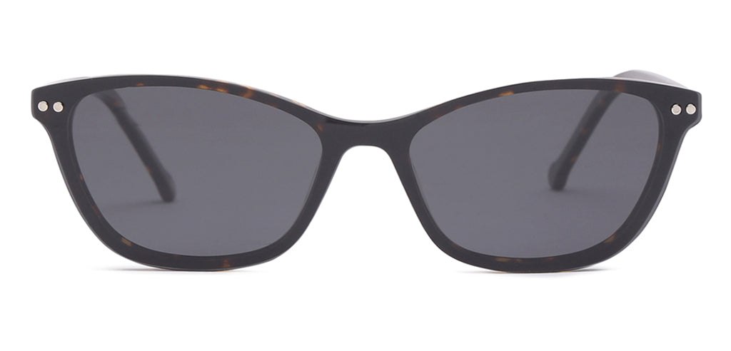 Glossy_Brown_With_Tortoise