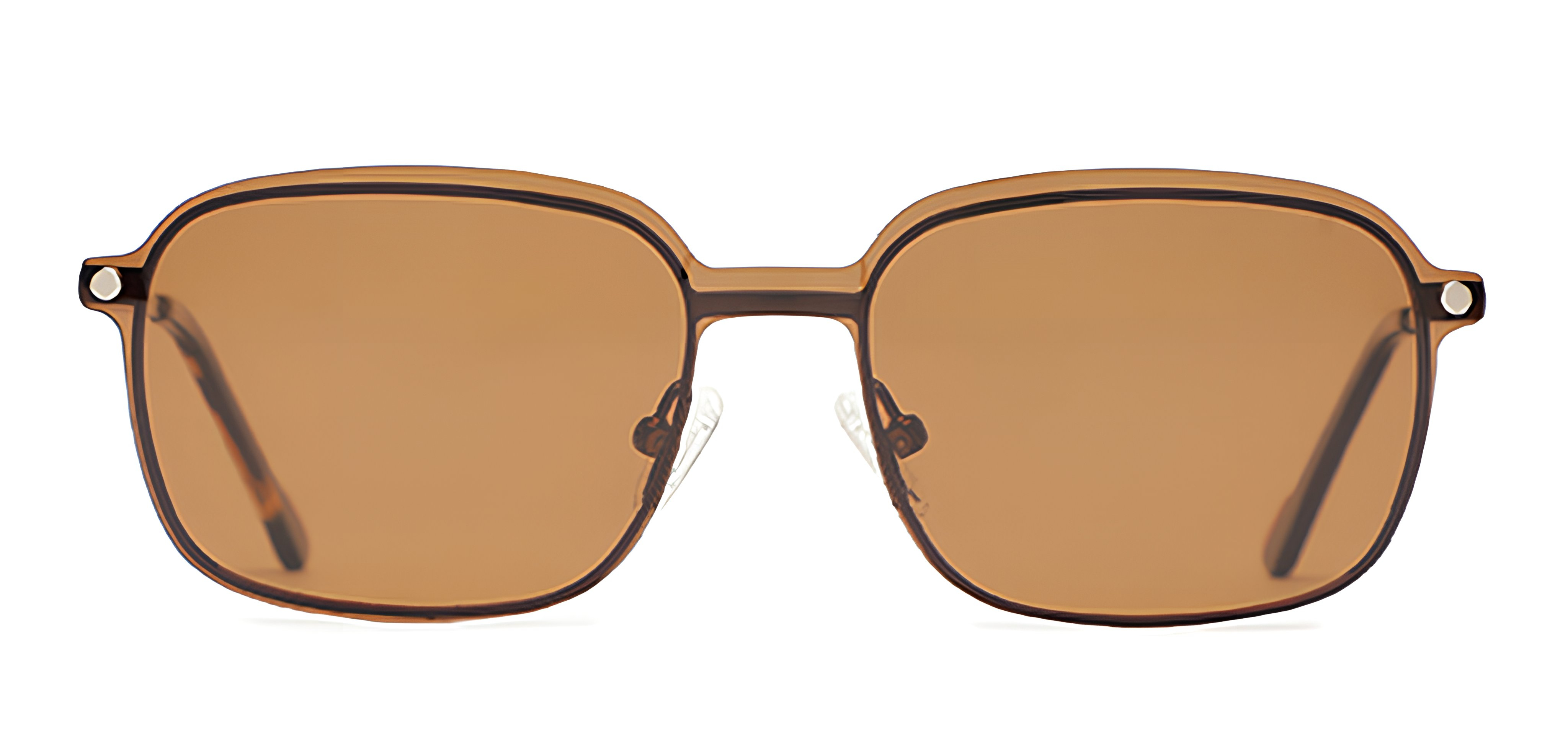 Glossy_Brown_With_Brown