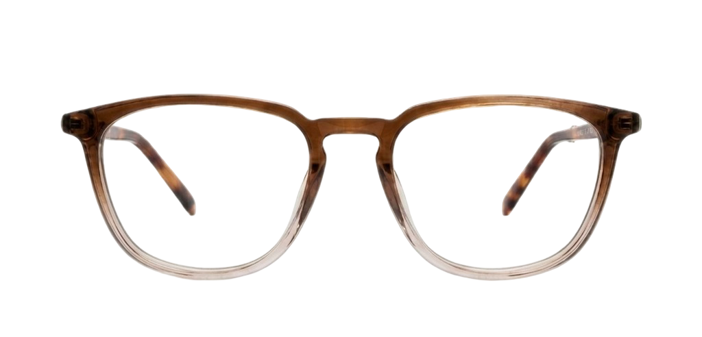 Brown_Gradal_with_Brown