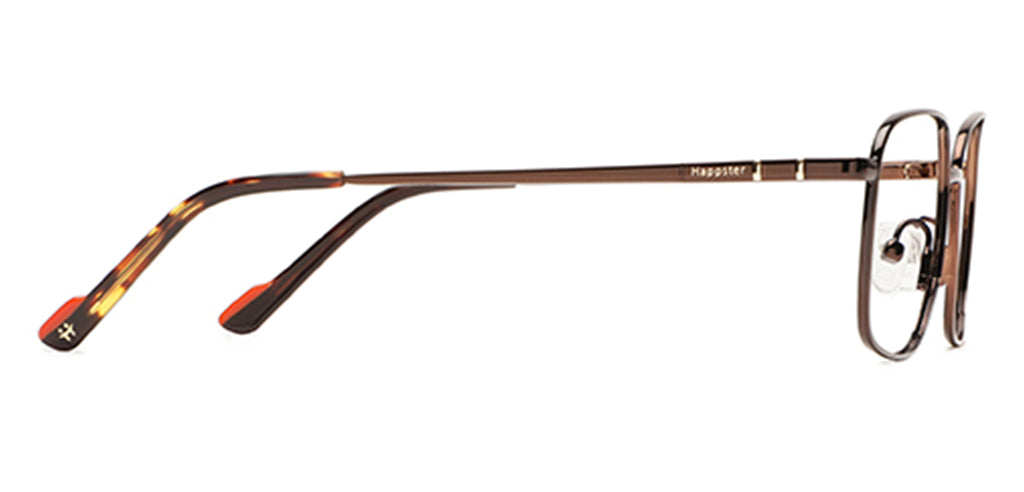 Glossy_Brown_With_Brown