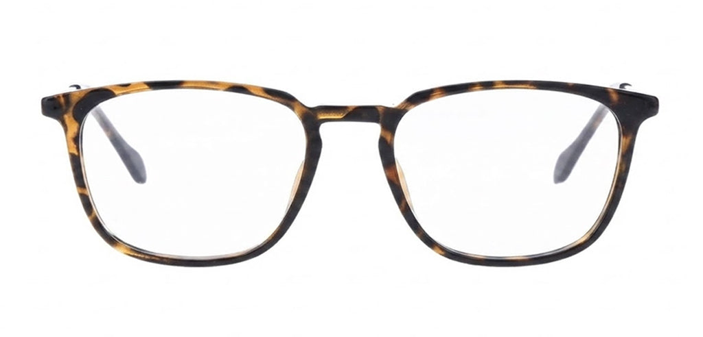 Brown_Demi_with_Yellow