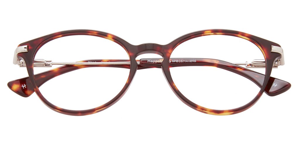 Tortoise_Brown_with_Silver