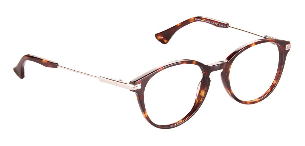 Tortoise_Brown_with_Silver