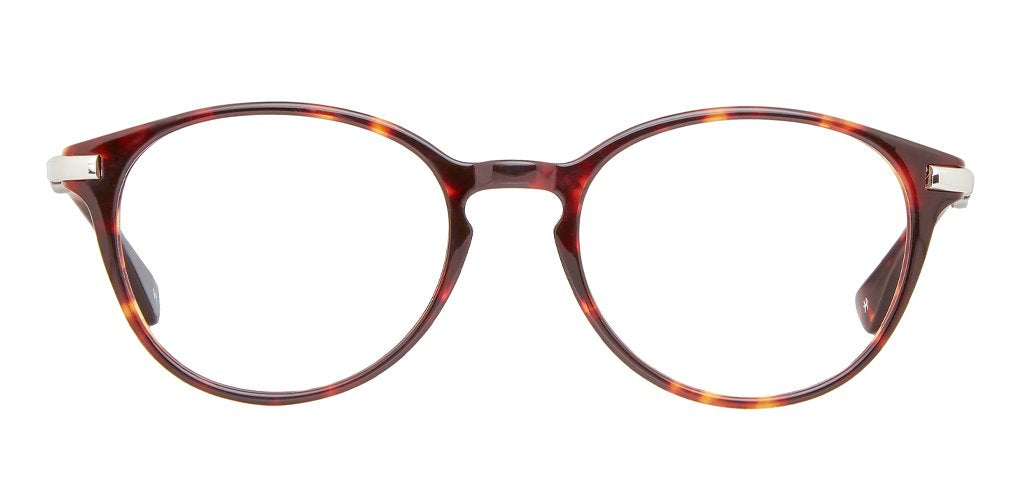 Tortoise_Brown_with_Silver